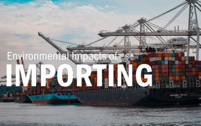 The Environmental Impact of Importing